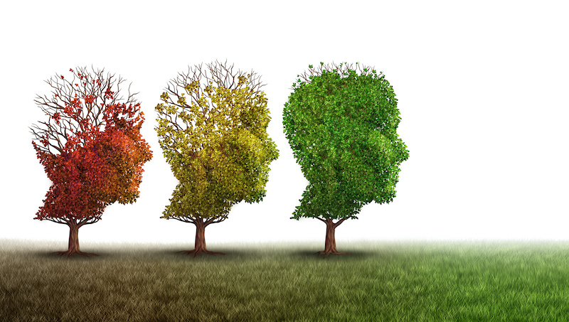 Dementia and mental health recovery treatment and Alzheimer brain memory disease therapy concept as old trees recovering as a neurology or psychology and psychiatry cure metaphor with 3D illustration elements on a white background.