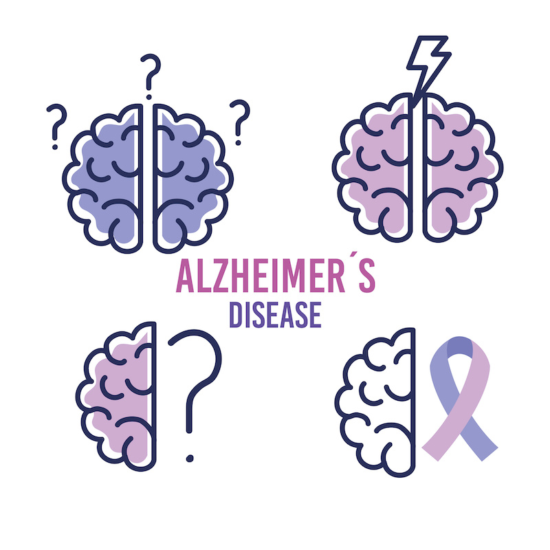 world alzheimer day with brains and ribbon vector illustration design