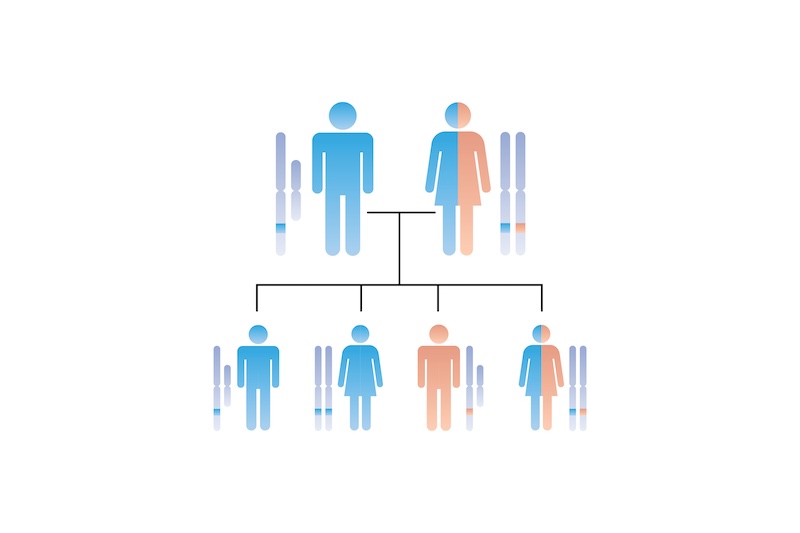 X-Linked Recessive Inheritance Science Design. Vector Illustration.